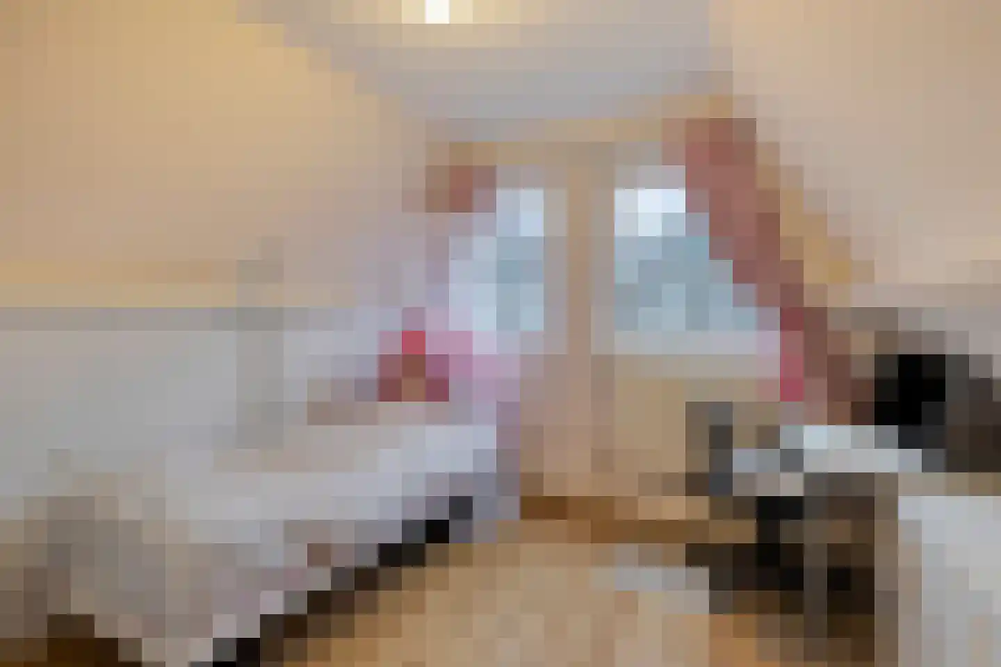Gravin Adélastraat 122 Rotterdam thumbnail 9