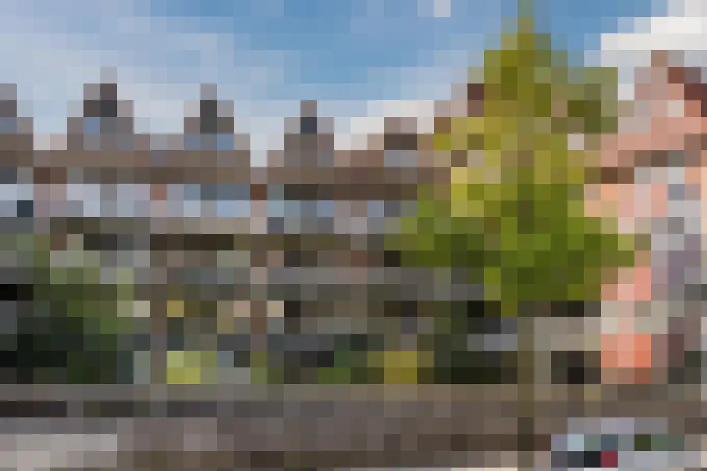 Gravin Adélastraat 43 Rotterdam thumbnail 25