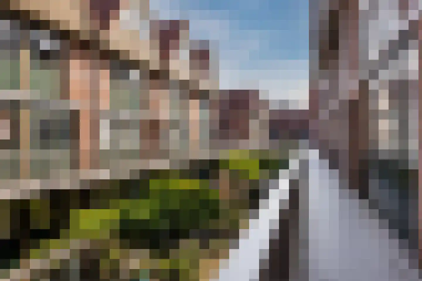 Gravin Adélastraat 43 Rotterdam thumbnail 6