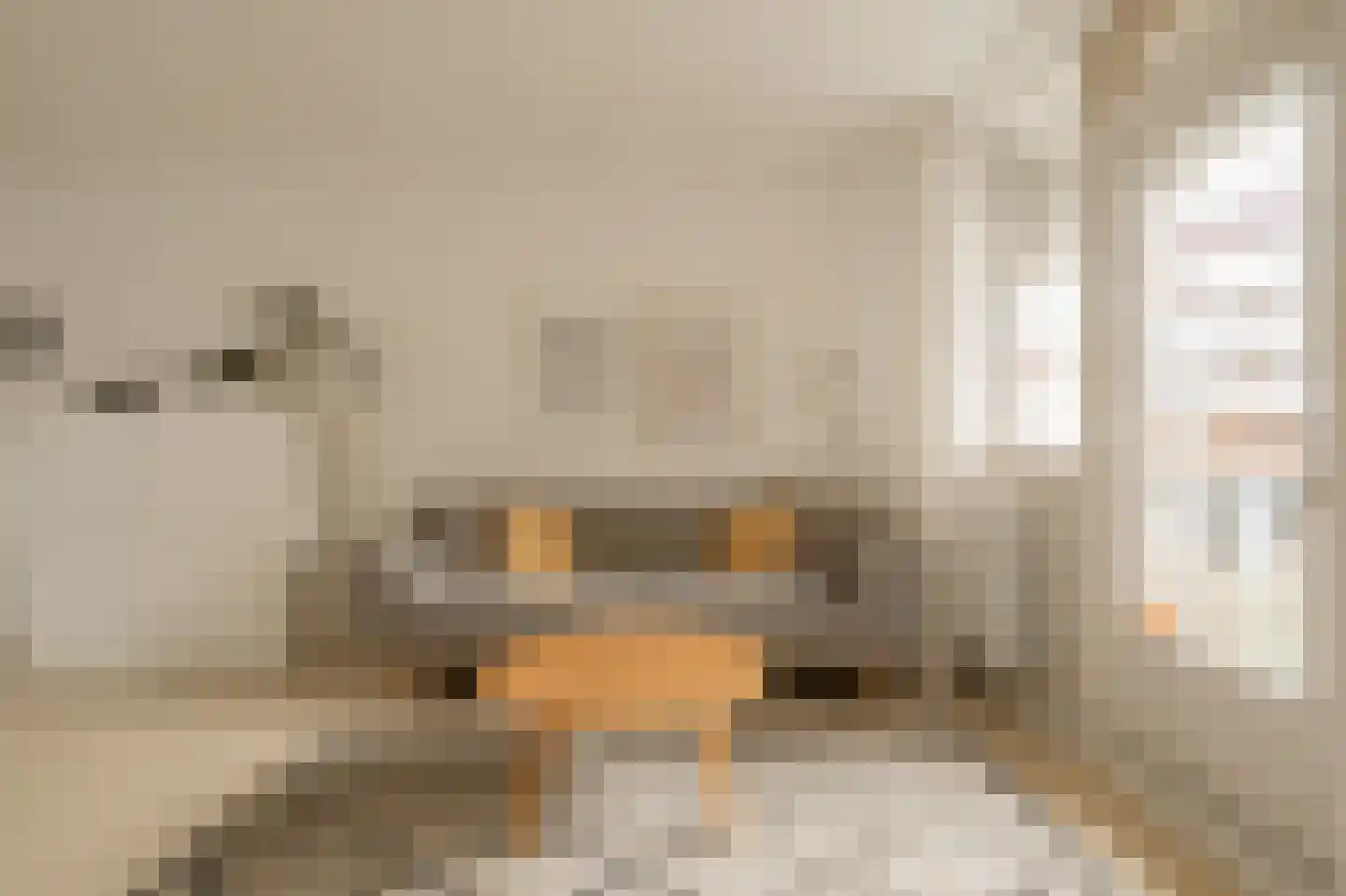 Gravin Adélastraat 55 Rotterdam thumbnail 8
