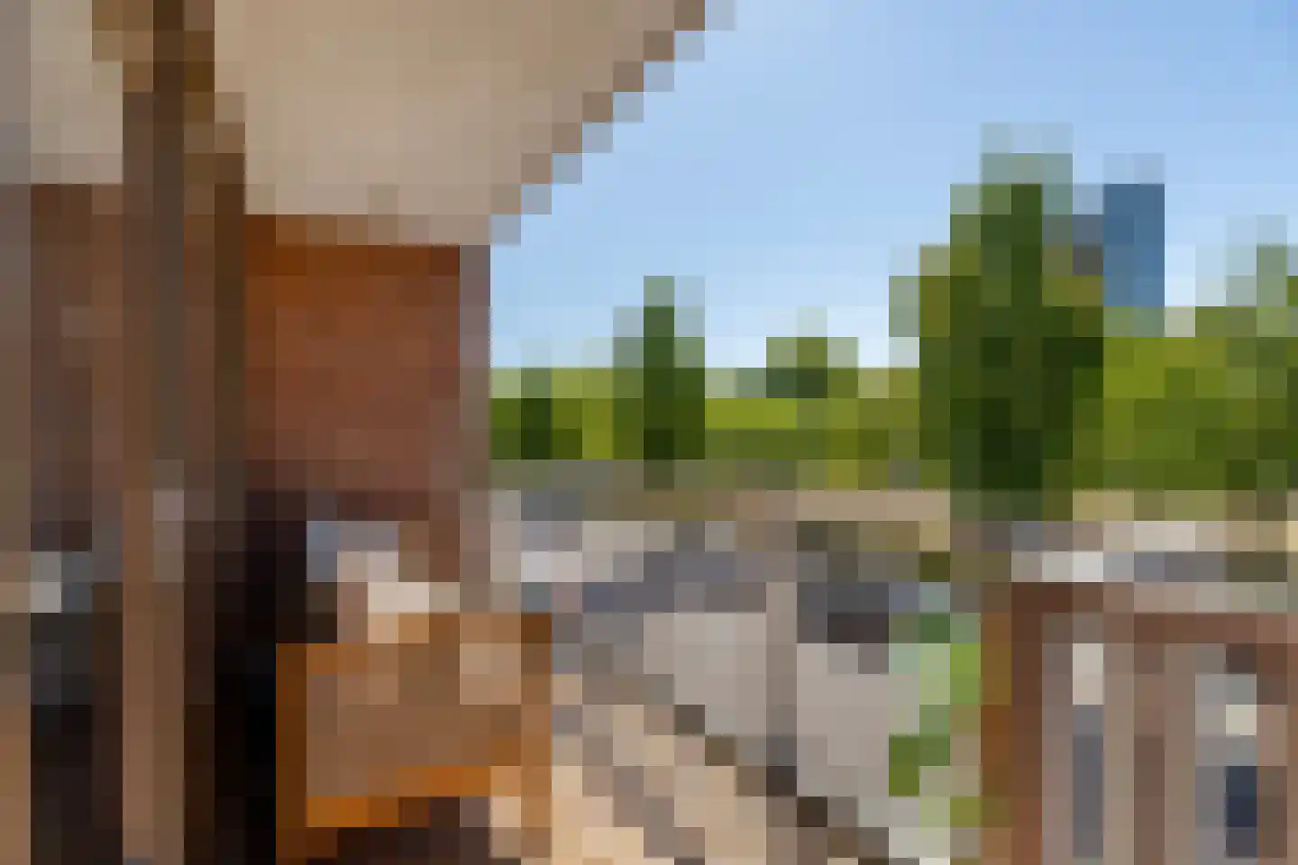Gravin Adélastraat 62 Rotterdam thumbnail 16