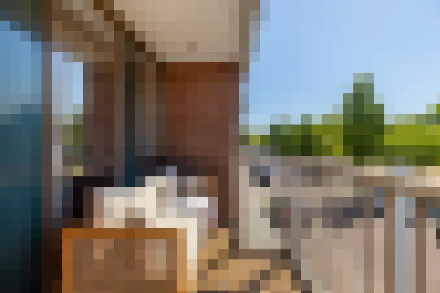 Gravin Adélastraat 62 Rotterdam thumbnail 17