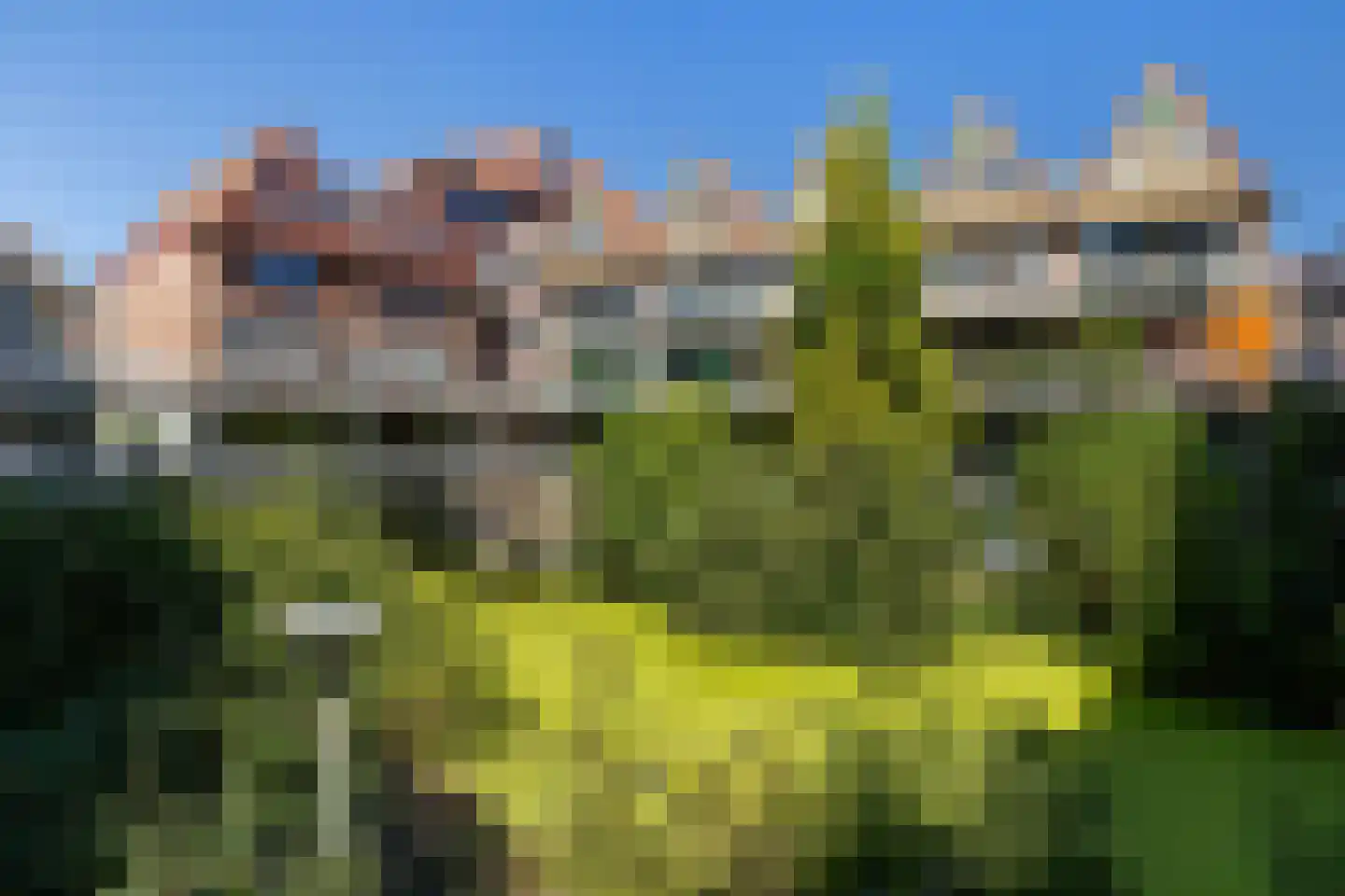 Gravin Adélastraat 62 Rotterdam thumbnail 26