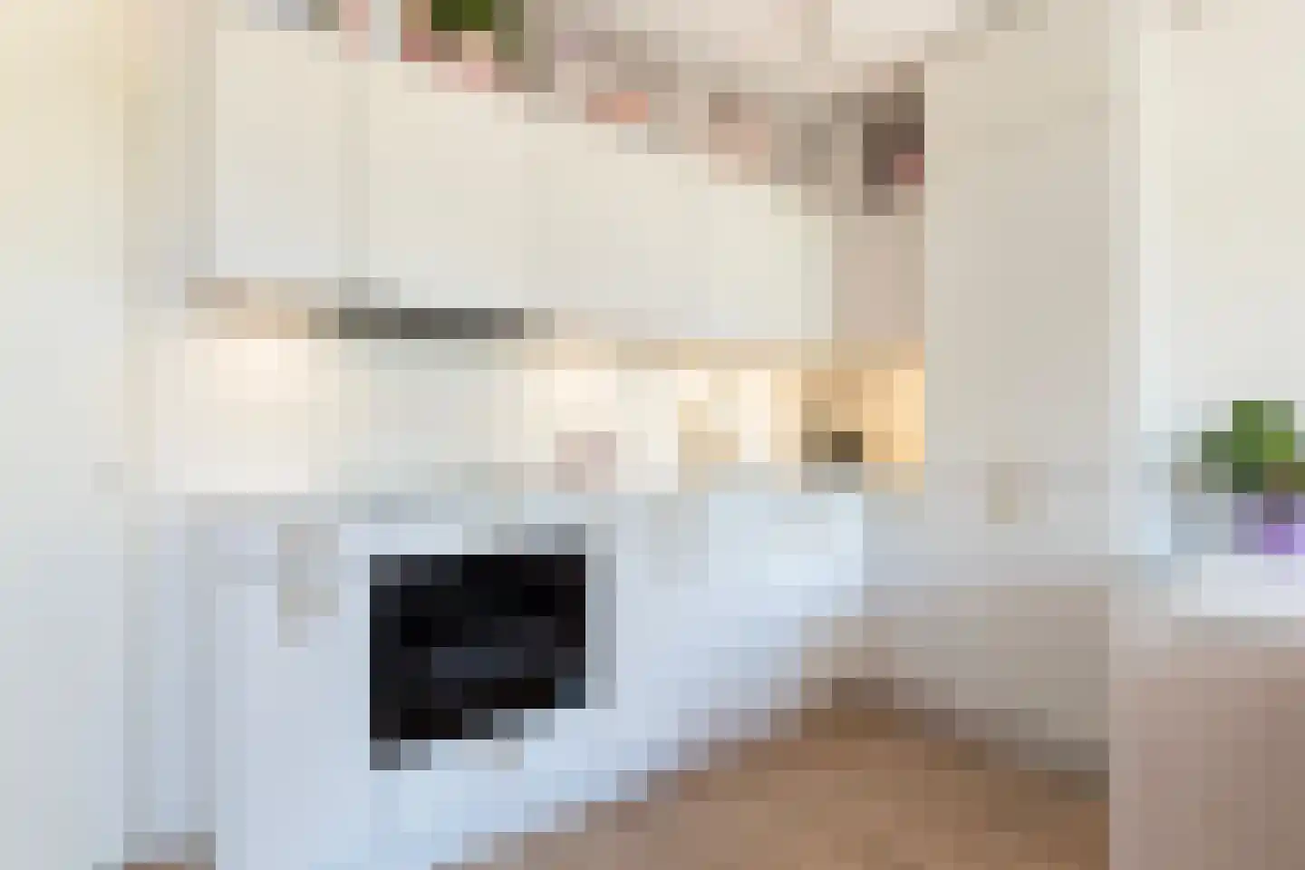 Gravin Adélastraat 62 Rotterdam thumbnail 9