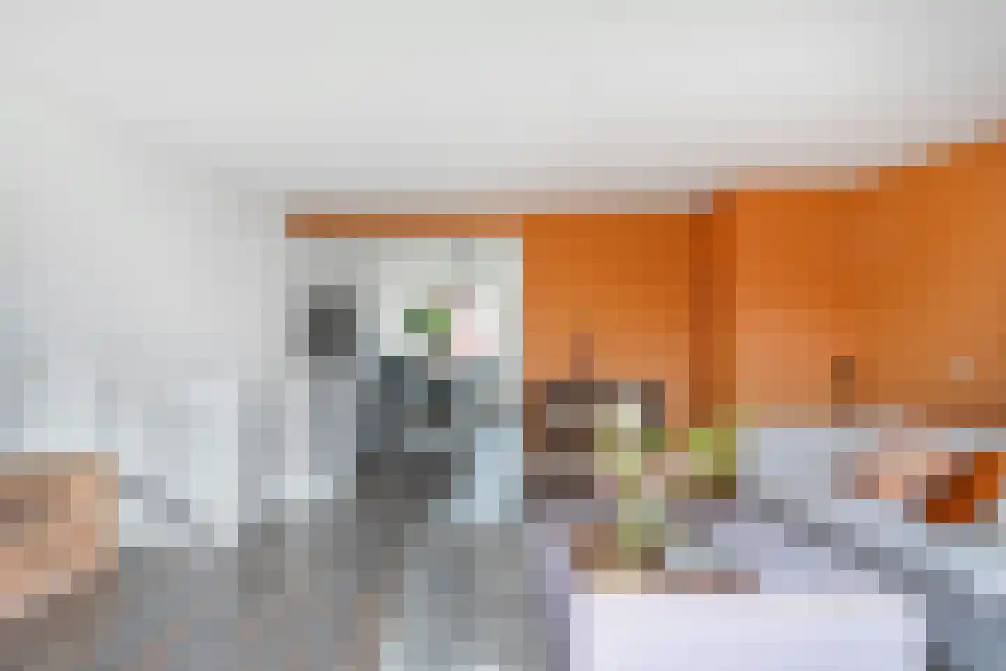 Gravin Adélastraat 69 Rotterdam thumbnail 18