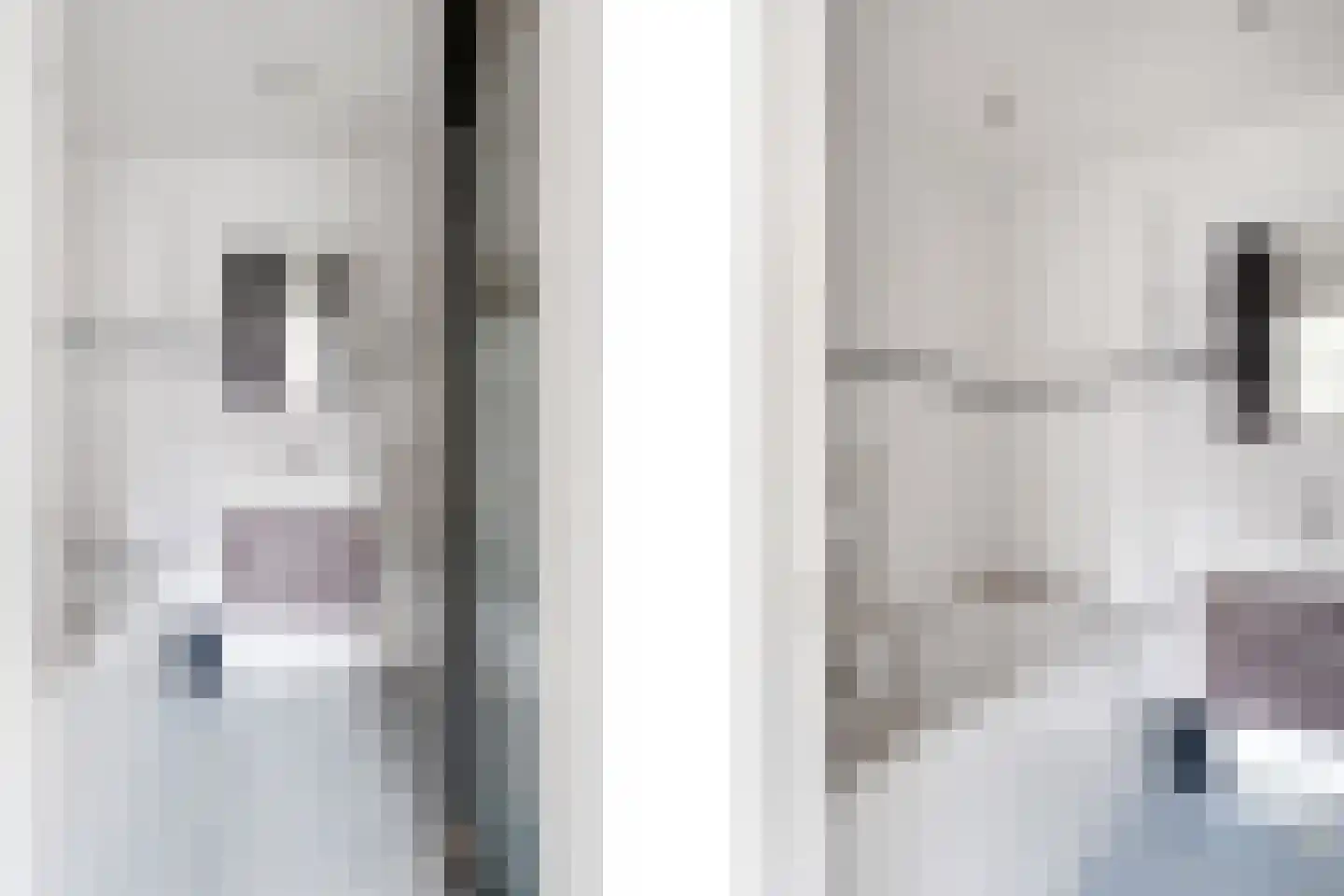 Gravin Adélastraat 69 Rotterdam thumbnail 21