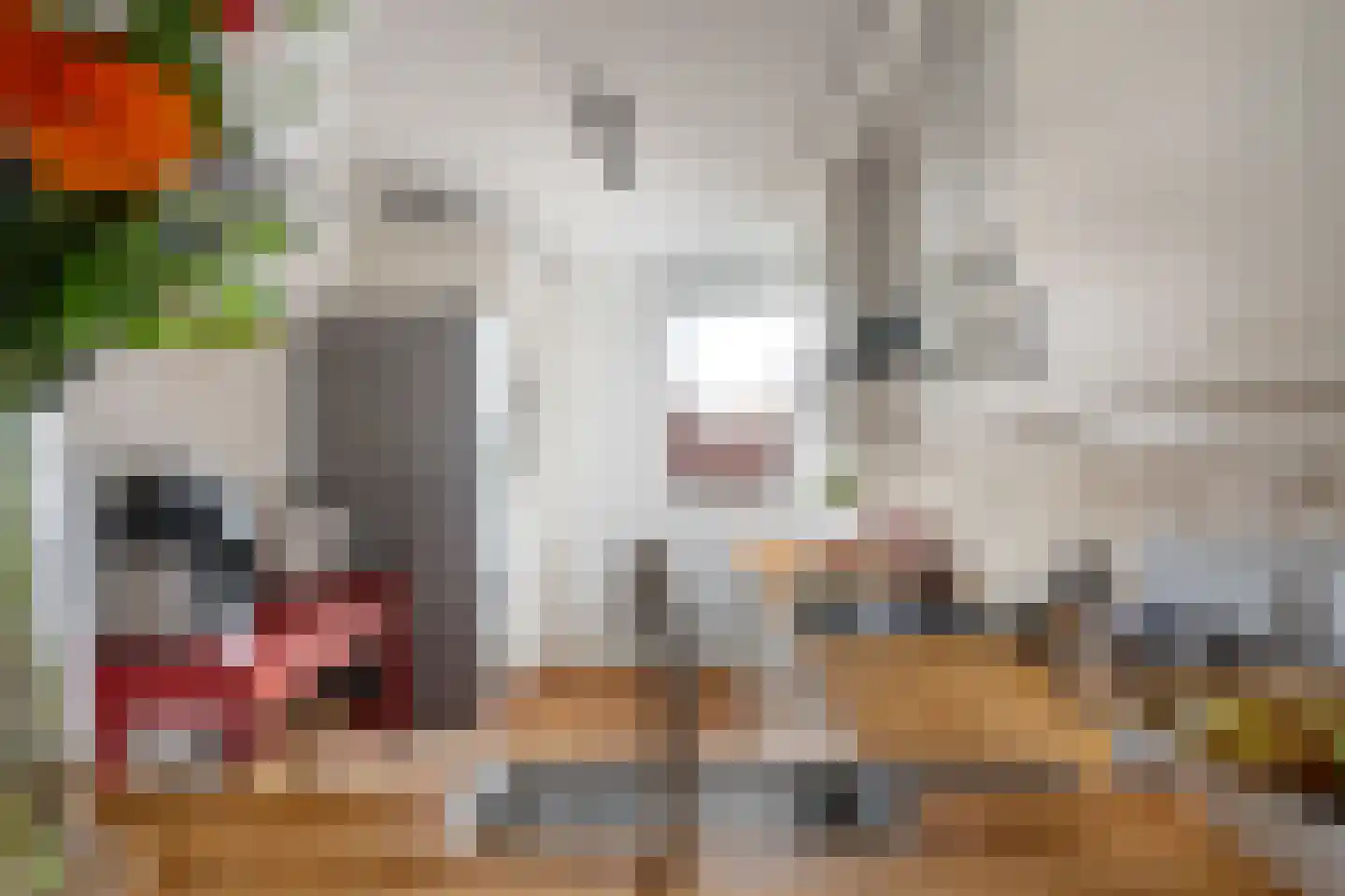 Gravin Adélastraat 73 Rotterdam thumbnail 11