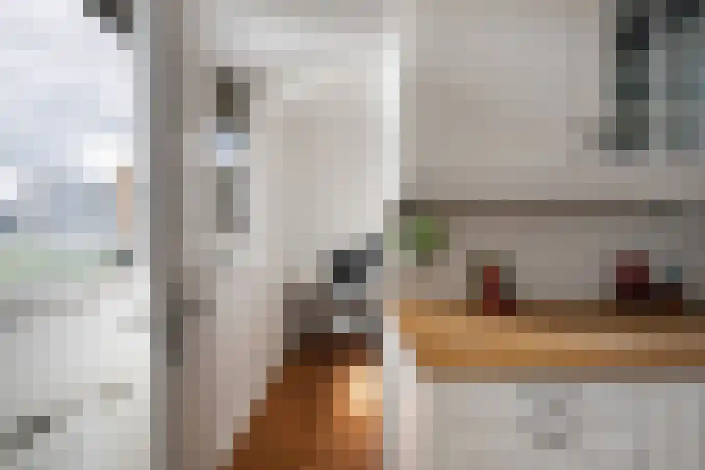 Gravin Adélastraat 73 Rotterdam thumbnail 12