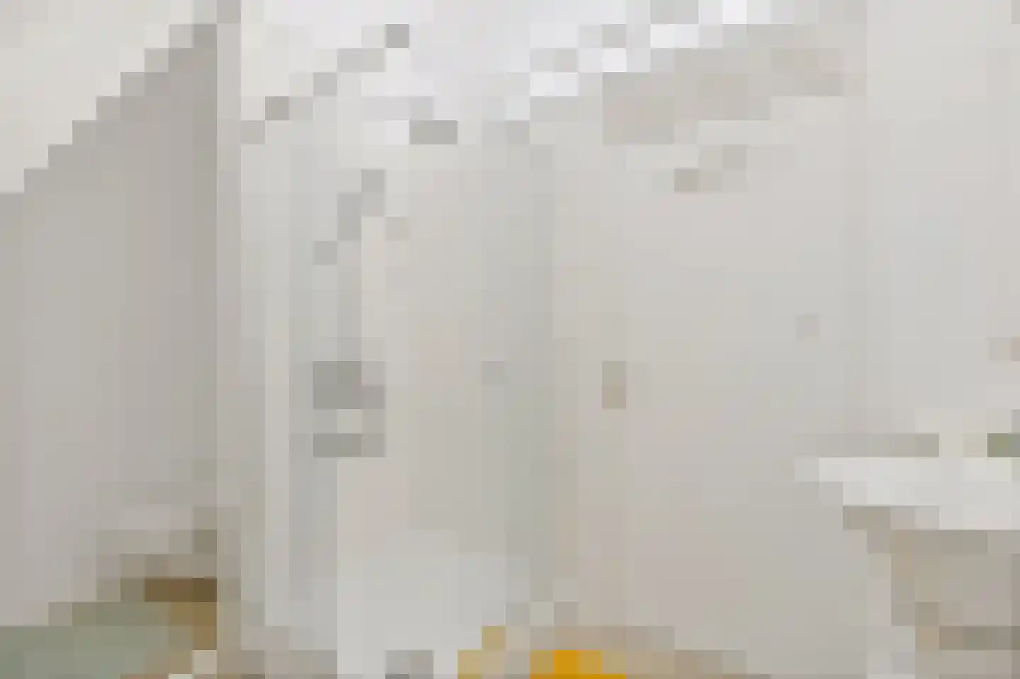 Gravin Adélastraat 87 Rotterdam thumbnail 5