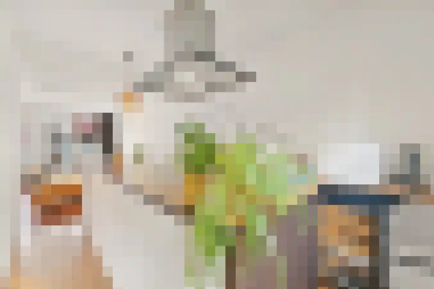 Gravin Adélastraat 87 Rotterdam thumbnail 8