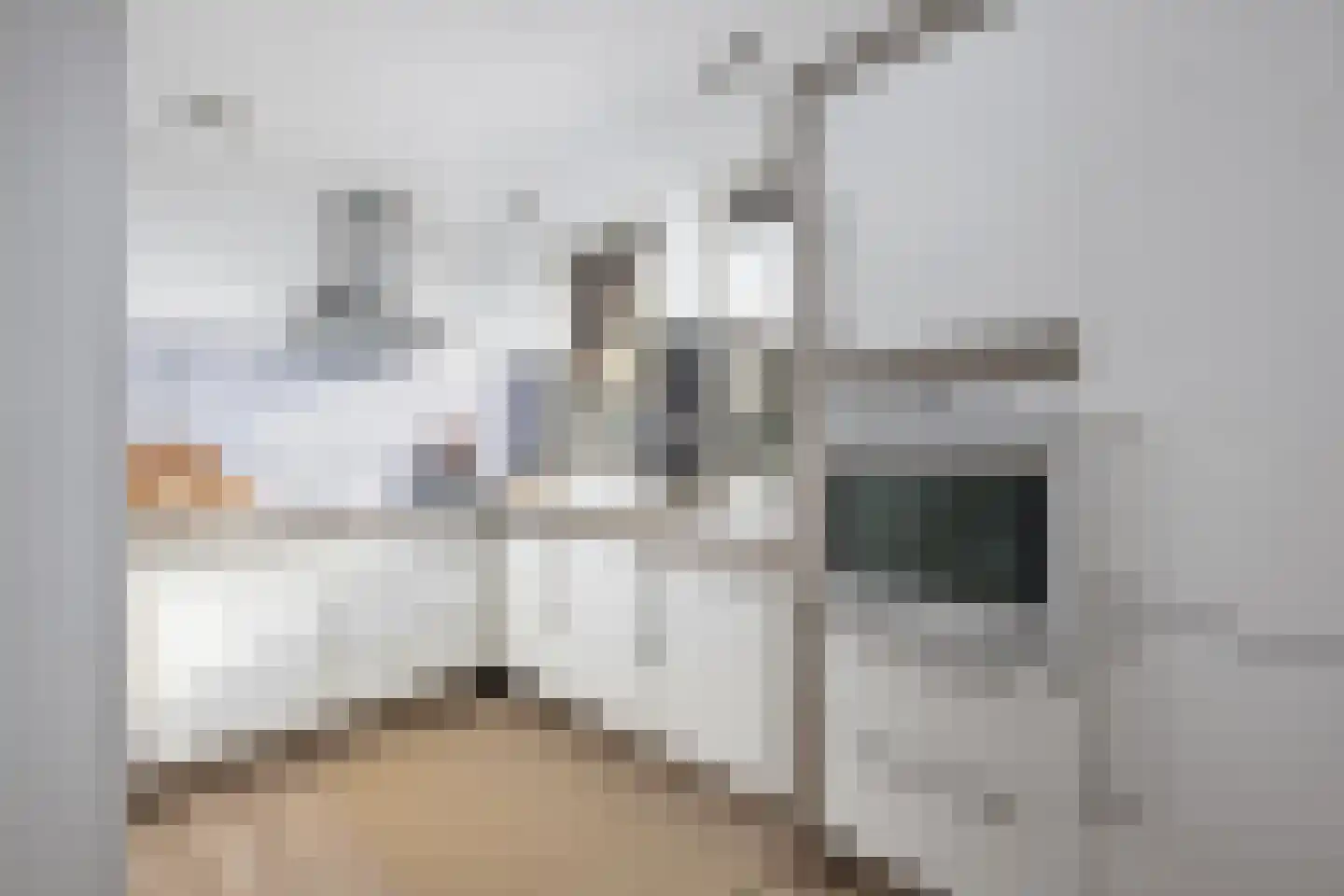 Gravin Adélastraat 92 Rotterdam thumbnail 10