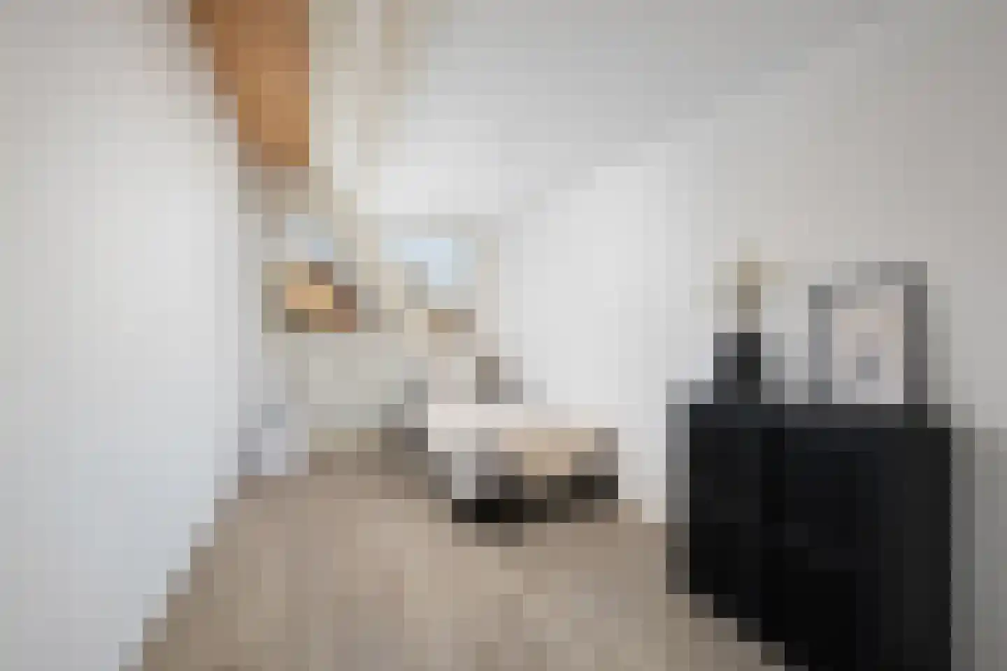 Gravin Adélastraat 92 Rotterdam thumbnail 13