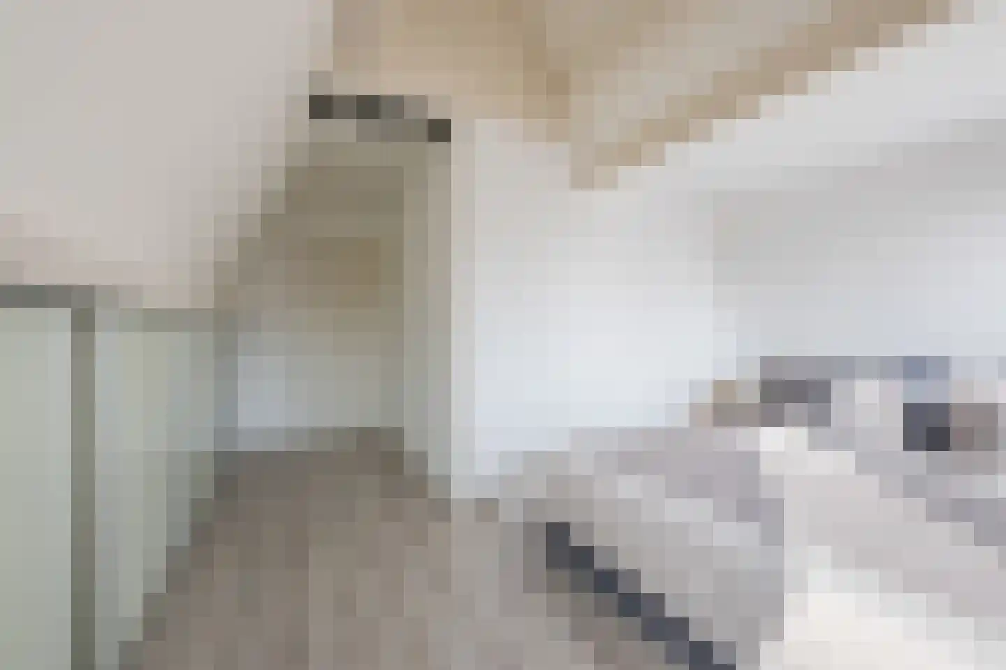 Gravin Adélastraat 92 Rotterdam thumbnail 18