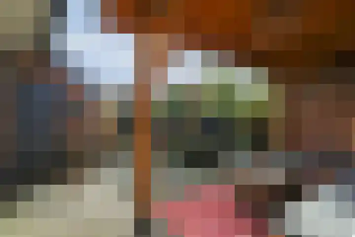 Gravin Adelheidlaan 21 Nieuwegein thumbnail 17