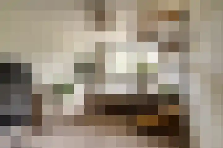 Gravin Adelheidlaan 21 Nieuwegein thumbnail 25