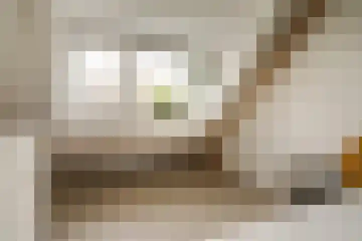 Gravin Adelheidlaan 21 Nieuwegein thumbnail 37