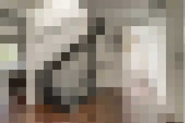 Gravin Adelheidlaan 21 Nieuwegein thumbnail 39