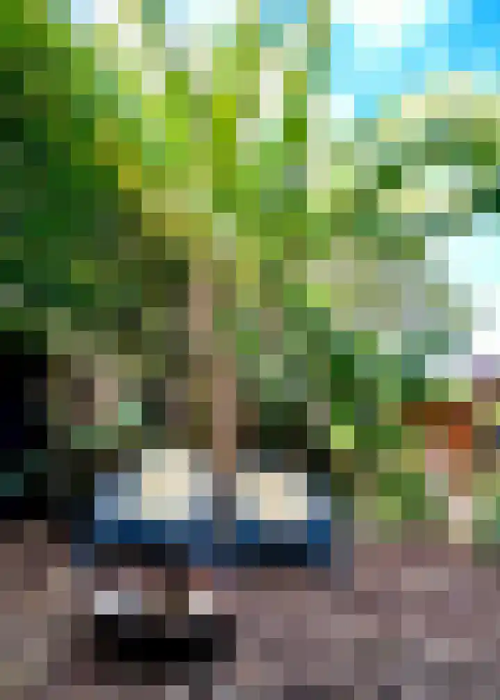 Gravin Adelheidlaan 21 Nieuwegein thumbnail 60
