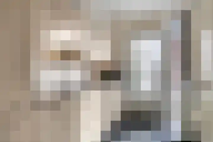 Gravin Anna van Burenstraat 12 Zuid-Beijerland thumbnail 10
