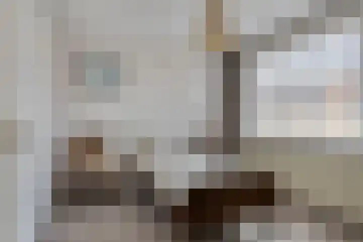 Gravin Anna van Burenstraat 12 Zuid-Beijerland thumbnail 15