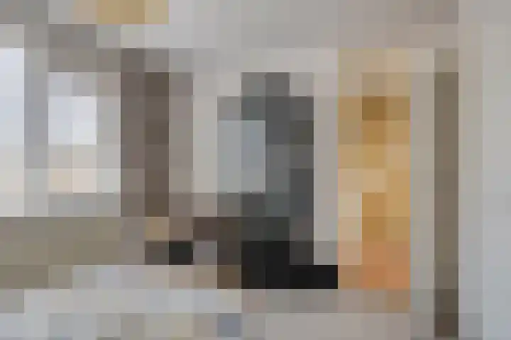 Gravin Anna van Burenstraat 12 Zuid-Beijerland thumbnail 16