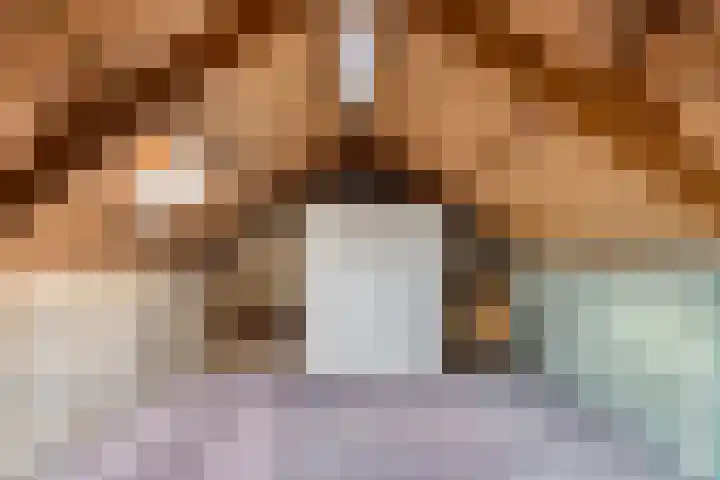 Gravin Anna van Burenstraat 12 Zuid-Beijerland thumbnail 19