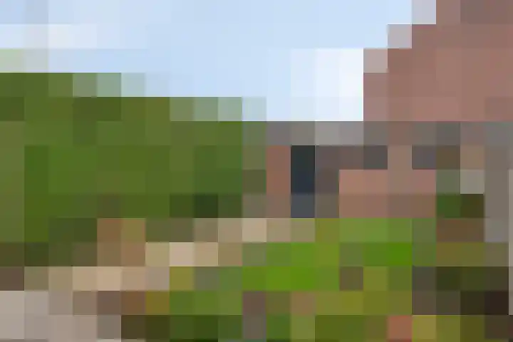Gravin Anna van Burenstraat 12 Zuid-Beijerland thumbnail 22