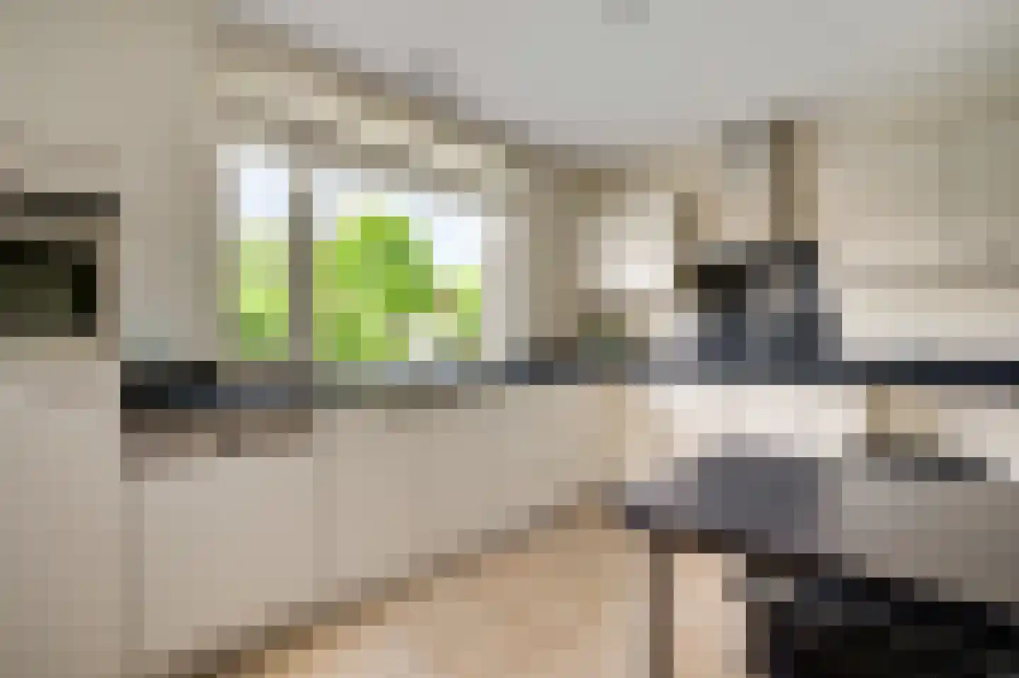 Gravin Annastraat 10 Horn thumbnail 10