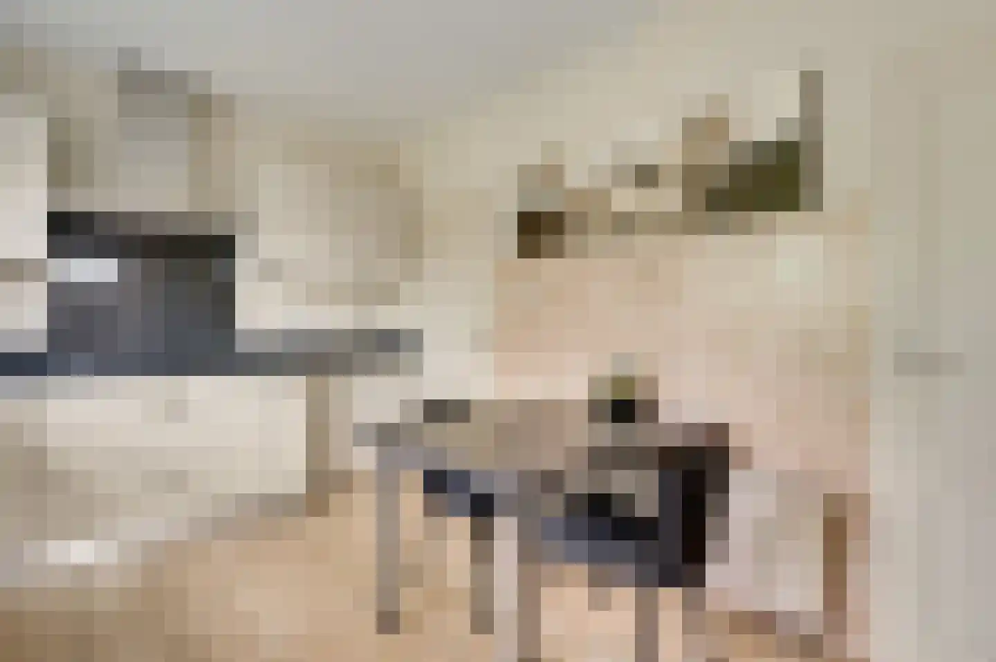 Gravin Annastraat 10 Horn thumbnail 11