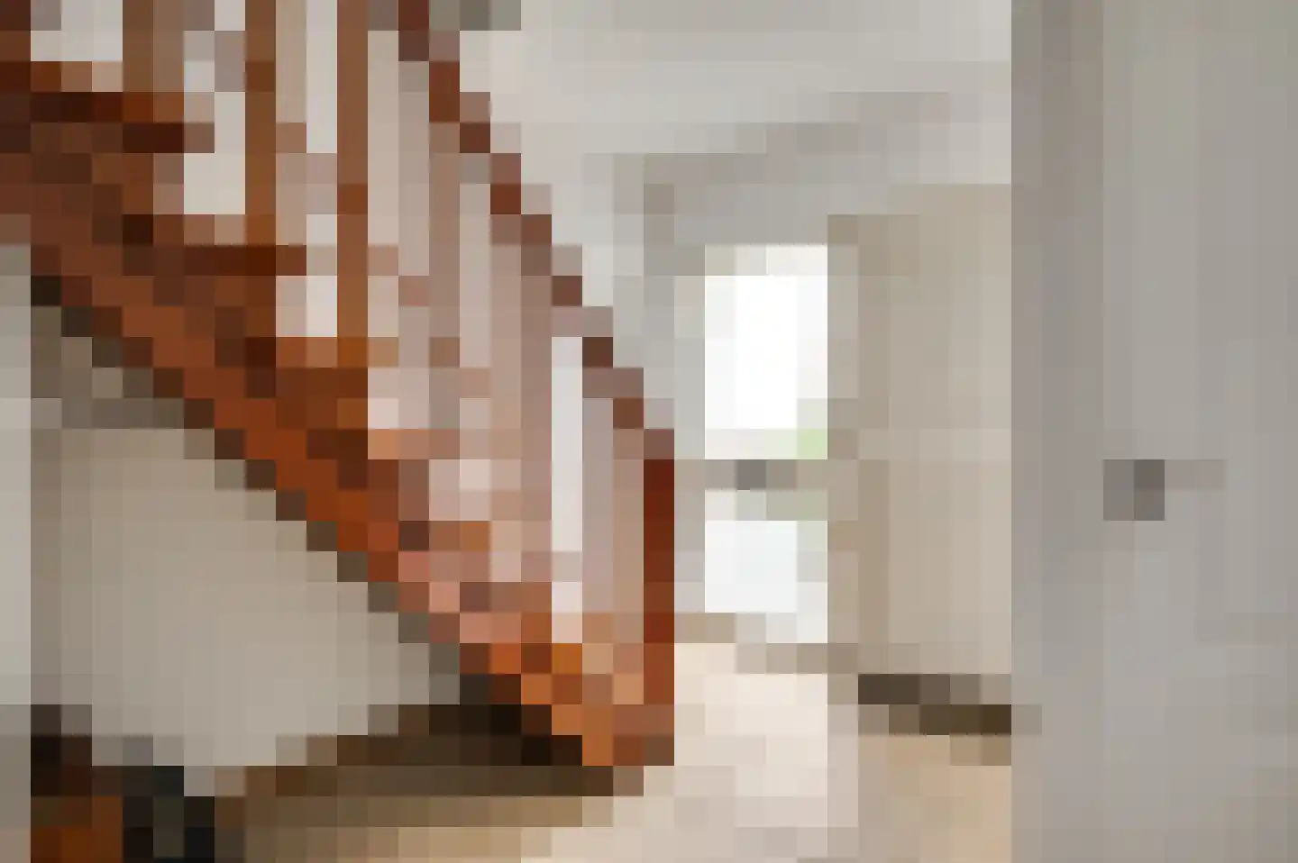 Gravin Annastraat 10 Horn thumbnail 12