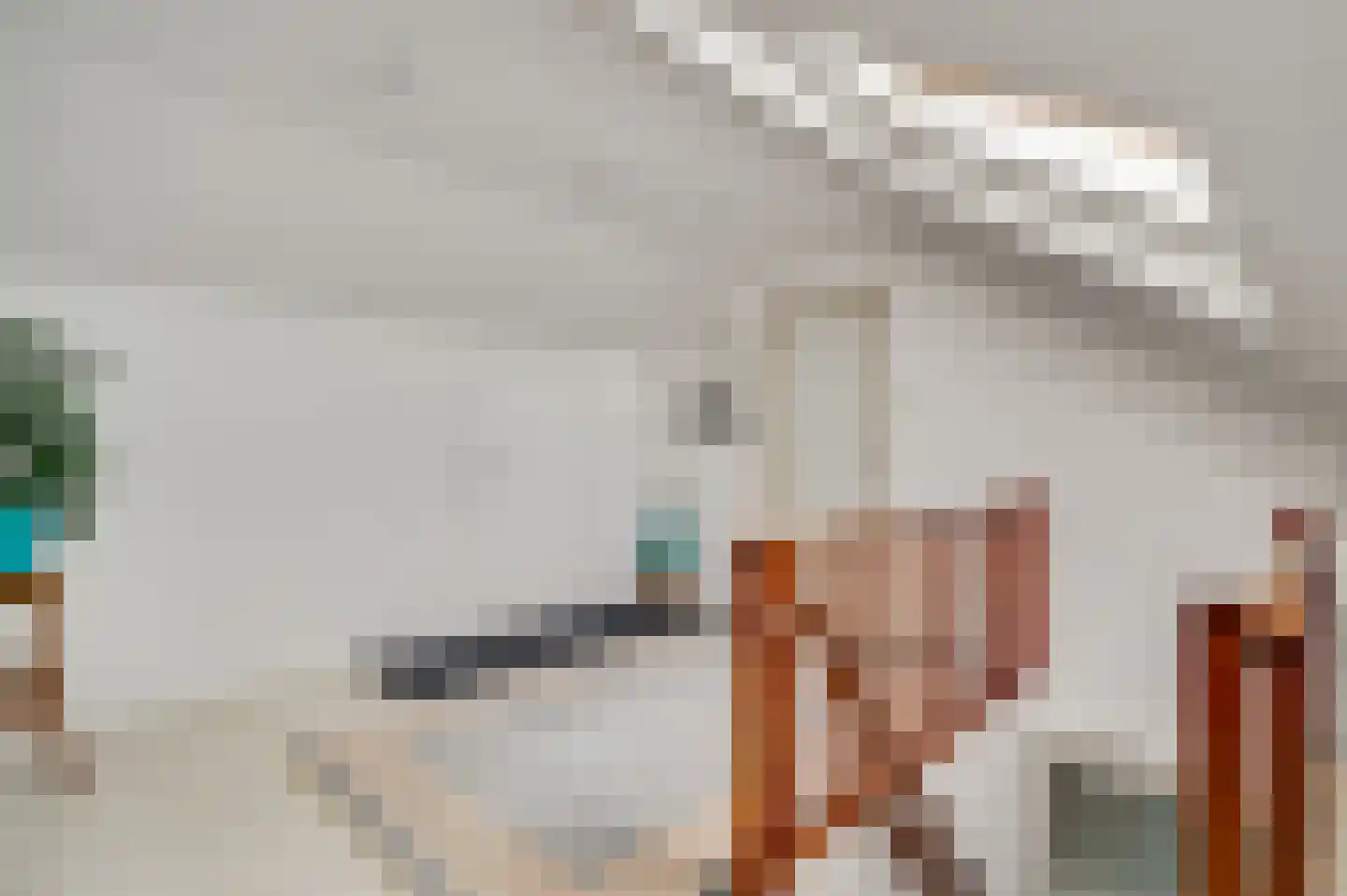 Gravin Annastraat 10 Horn thumbnail 25