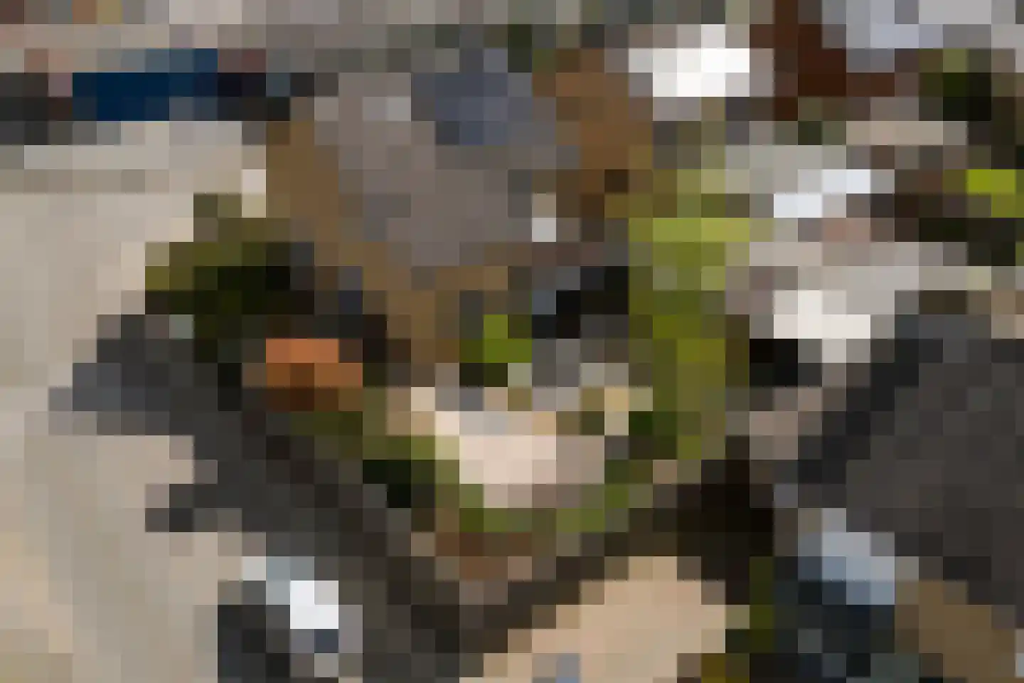 Gravin Annastraat 10 Horn thumbnail 29