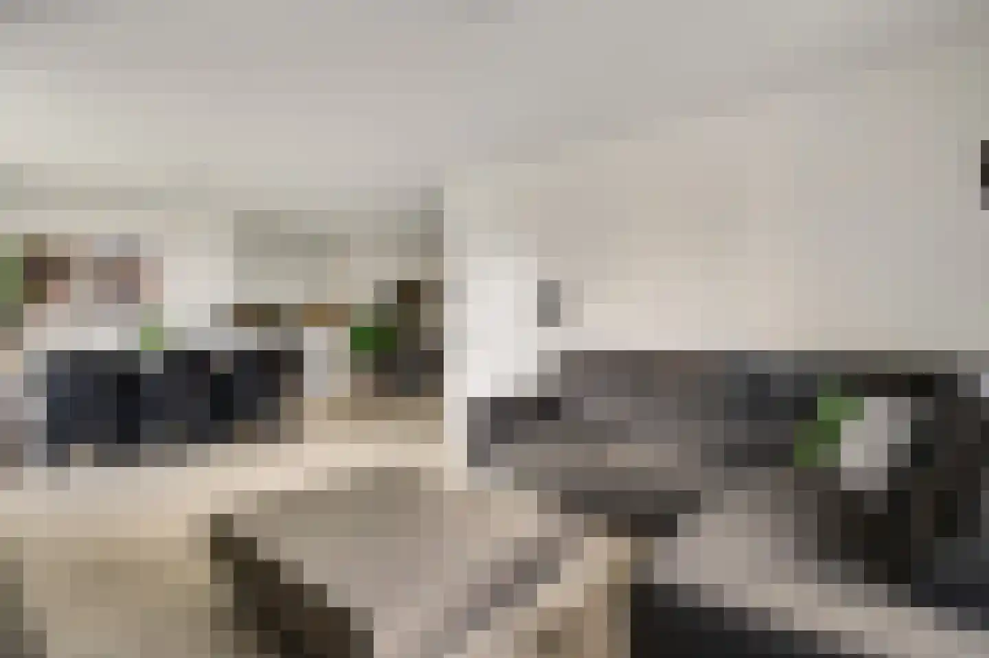 Gravin Annastraat 10 Horn thumbnail 4