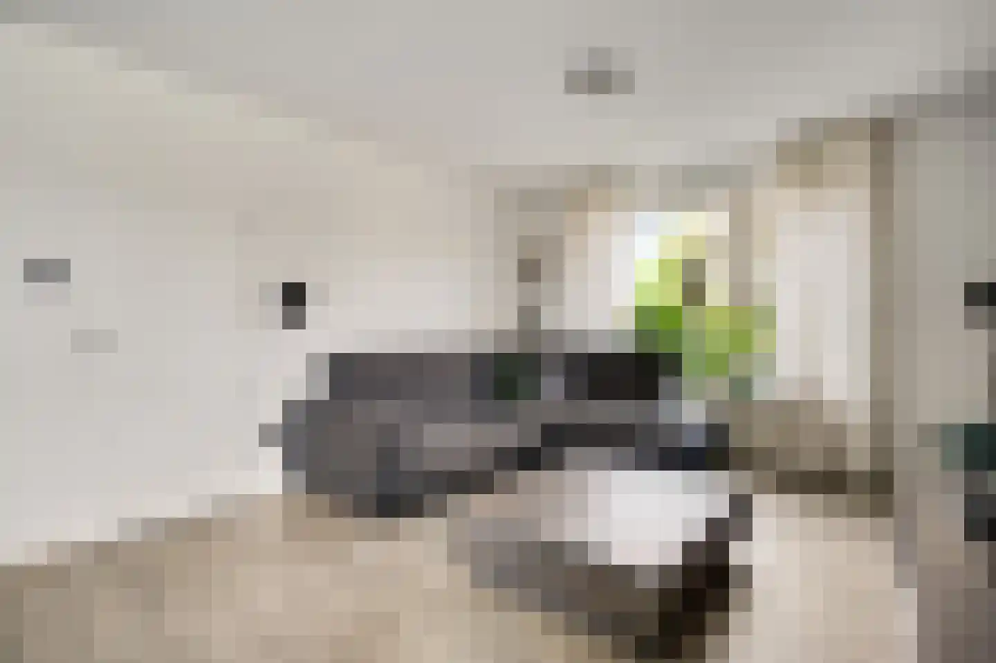 Gravin Annastraat 10 Horn thumbnail 6