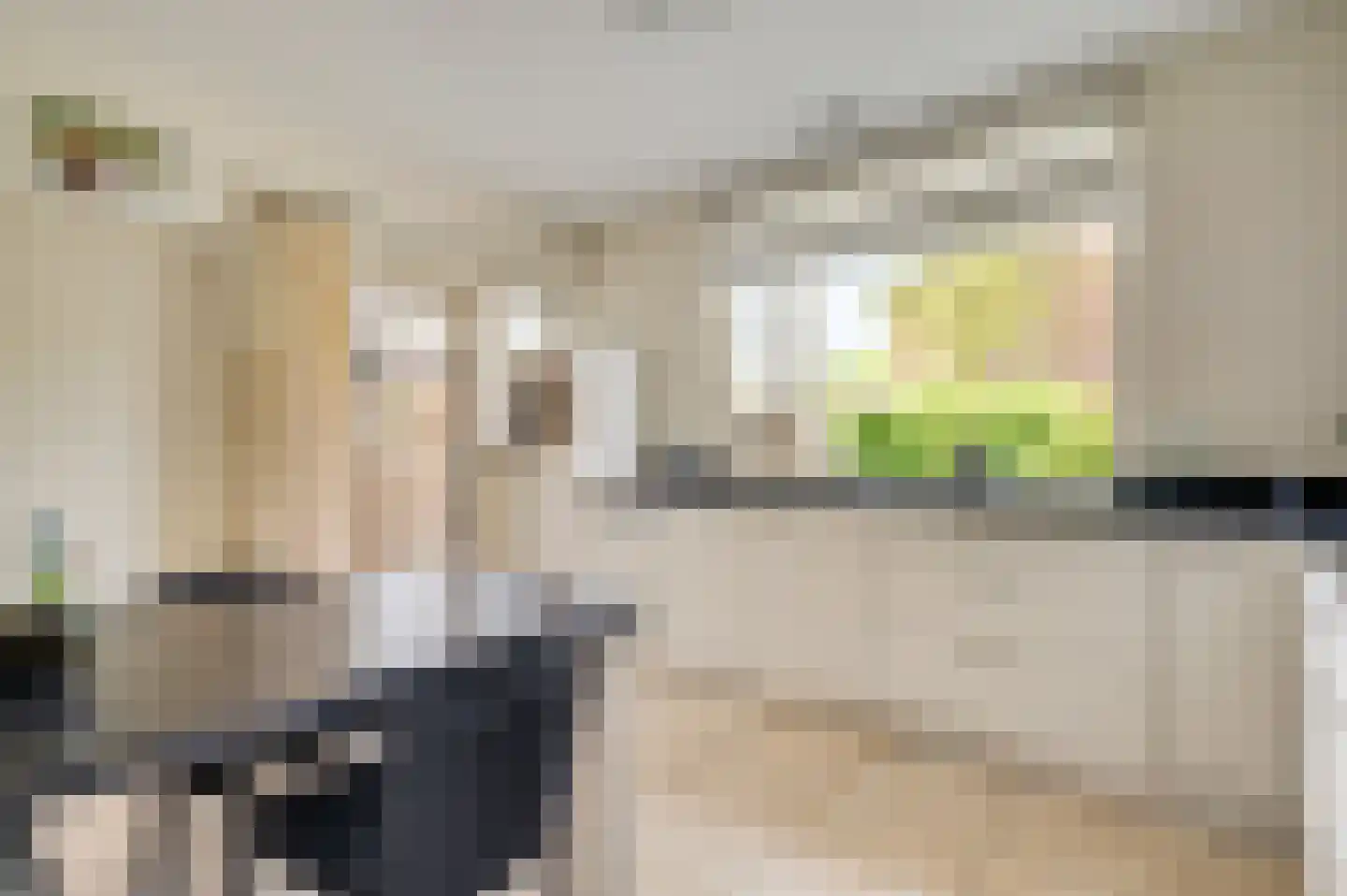 Gravin Annastraat 10 Horn thumbnail 9