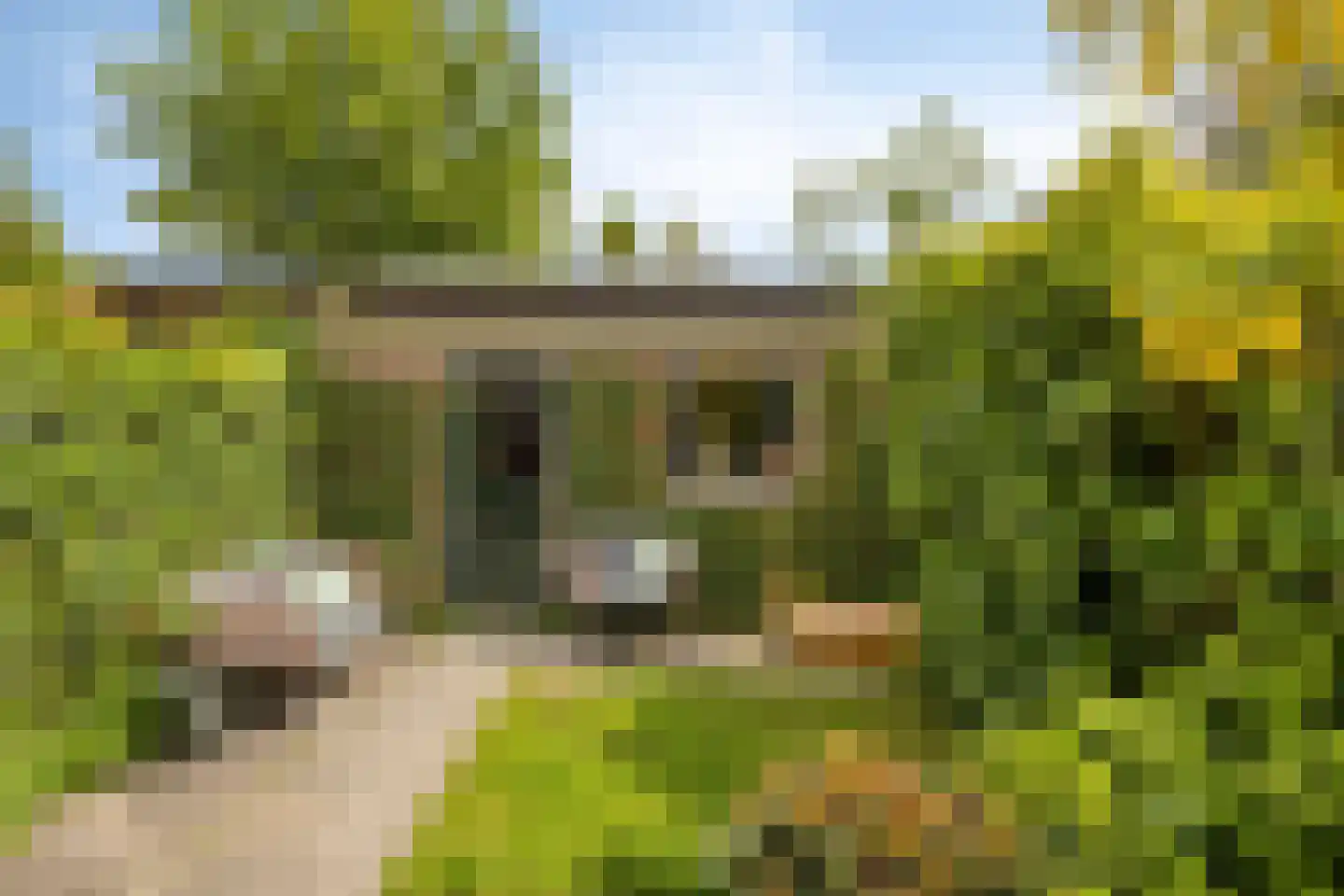 Gravin Beatrixstraat 3 Gouda thumbnail 35