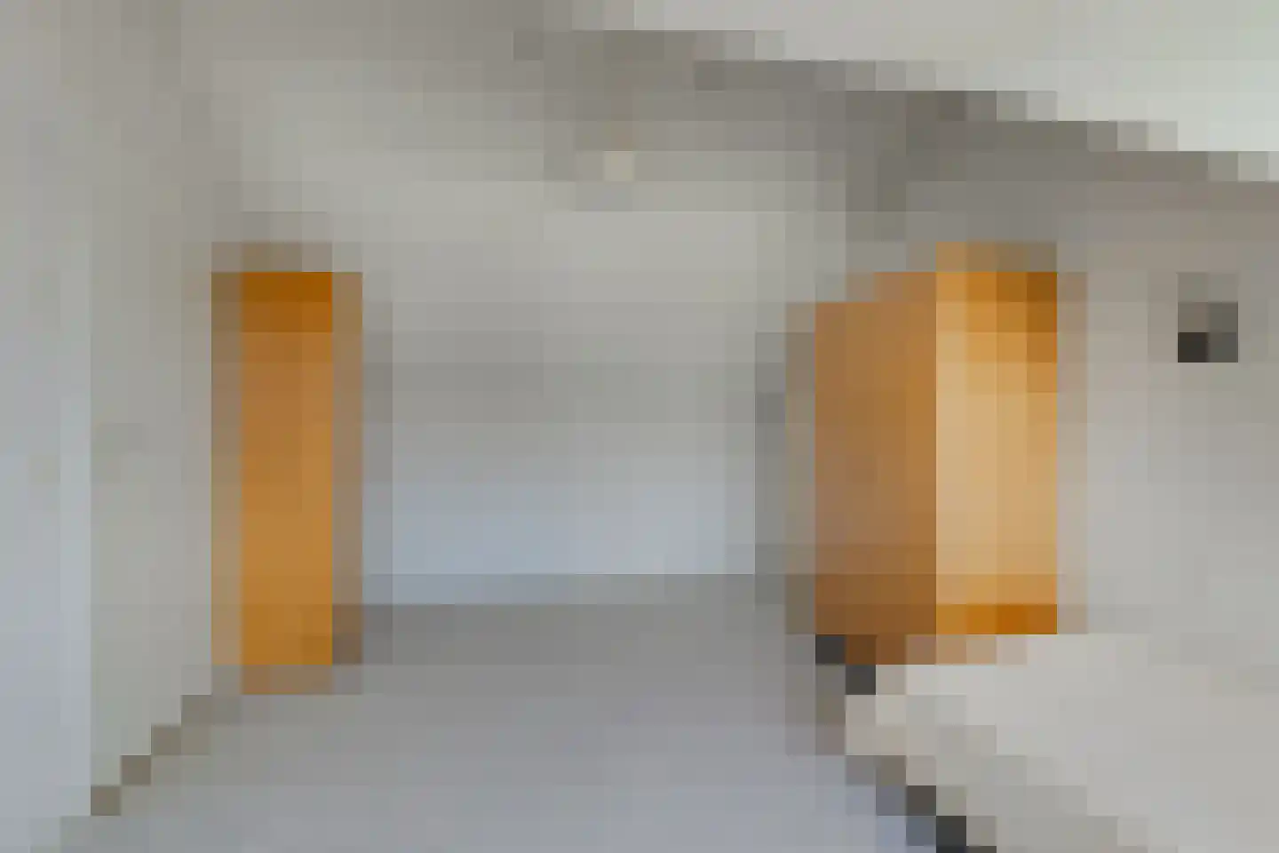 Gravin Catharinalaan 6 Leidschendam thumbnail 20