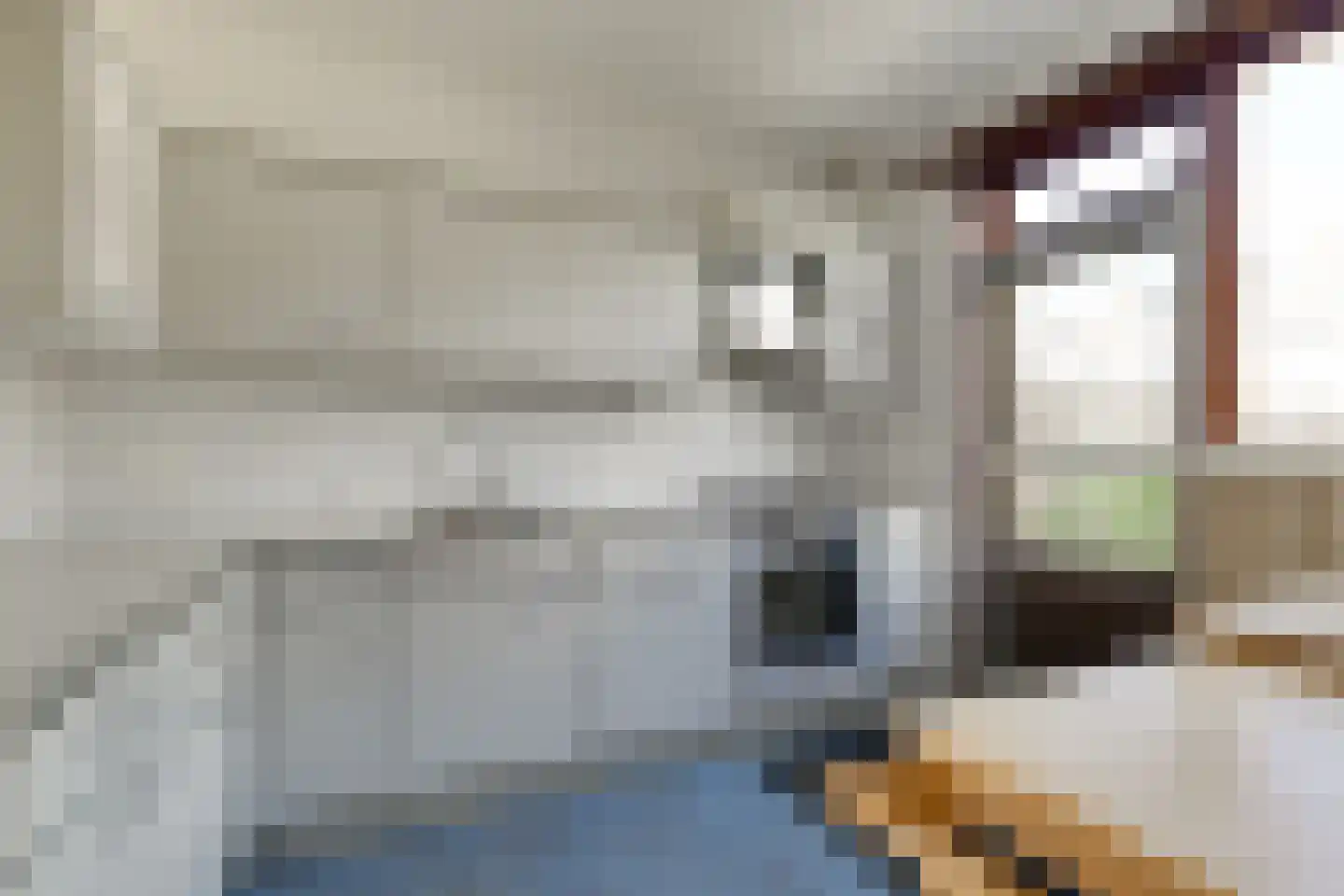Gravin Catharinalaan 6 Leidschendam thumbnail 4