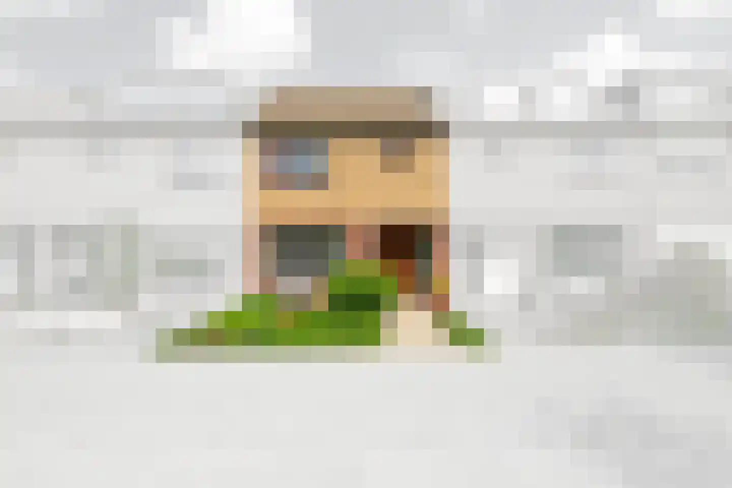 Gravin Catharinalaan 6 Leidschendam thumbnail 5