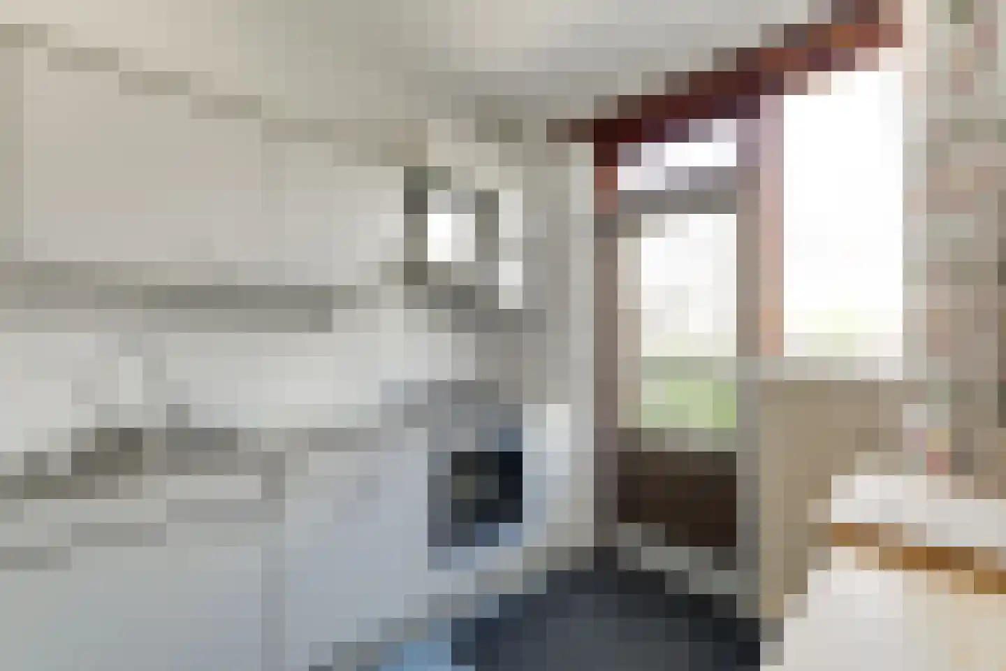 Gravin Catharinalaan 6 Leidschendam thumbnail 9