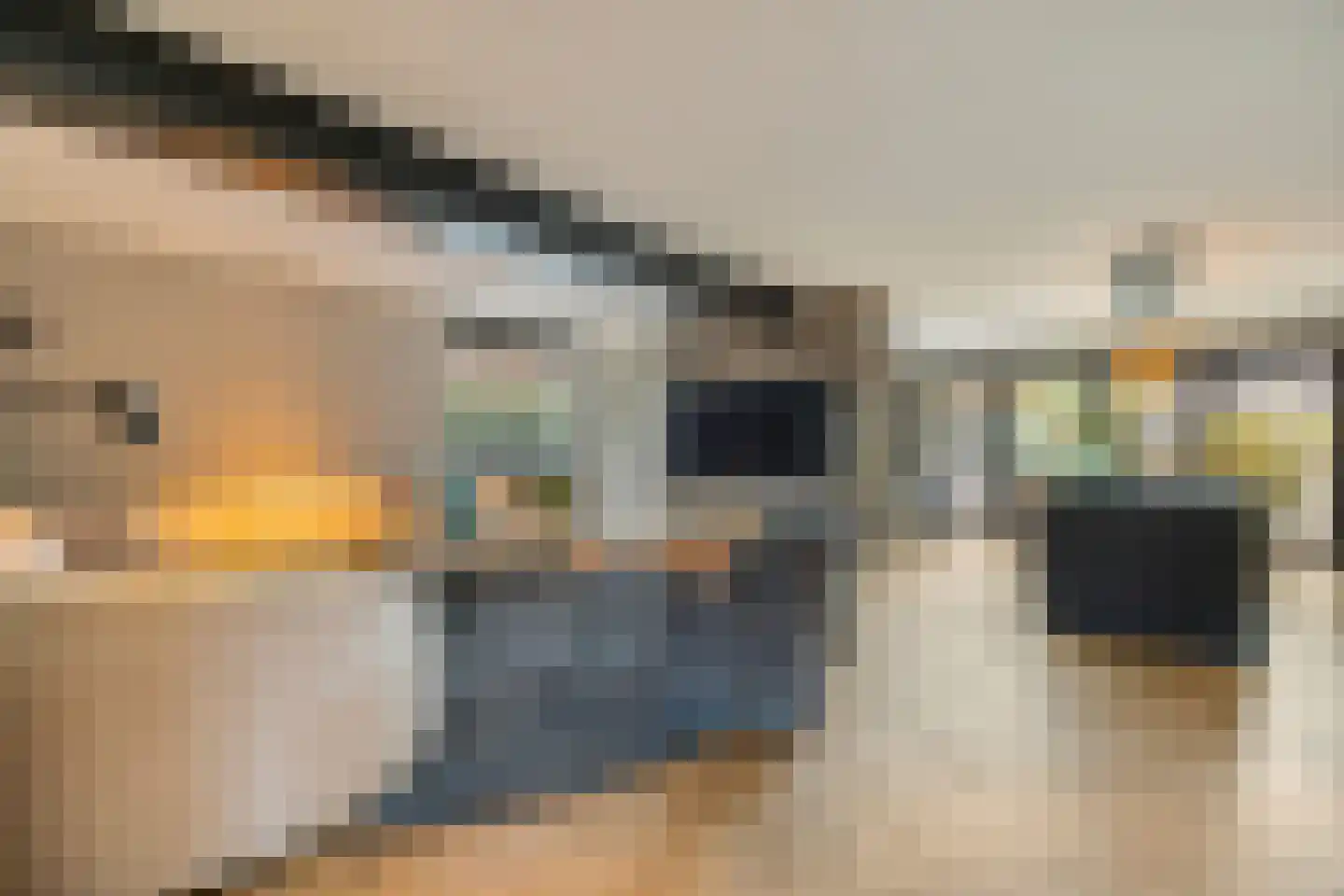 Gravin Gertrude 25 Huizen thumbnail 11