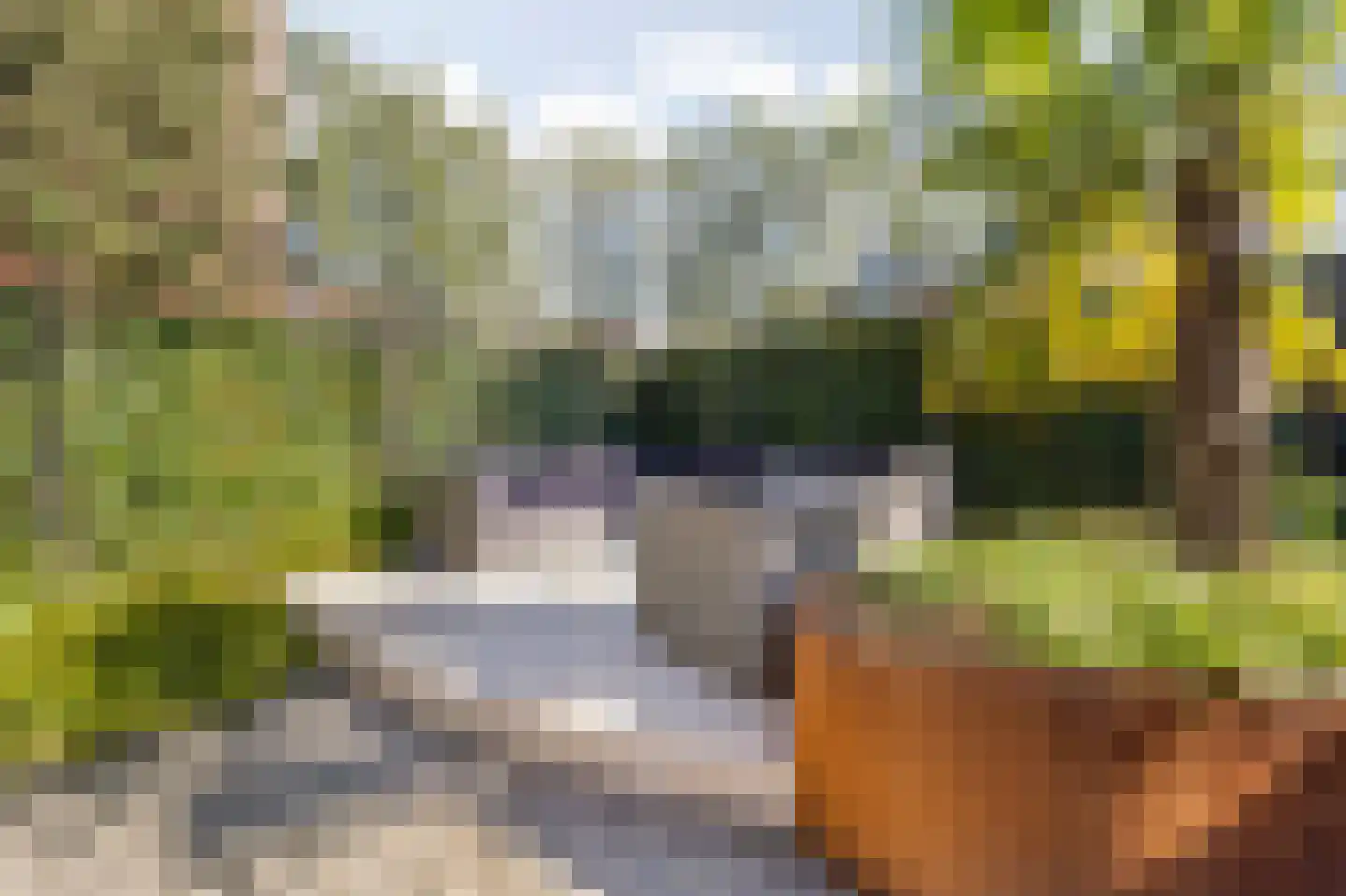 Gravin Gertrude 25 Huizen thumbnail 34