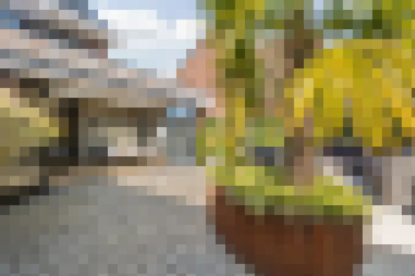 Gravin Gertrude 25 Huizen thumbnail 35