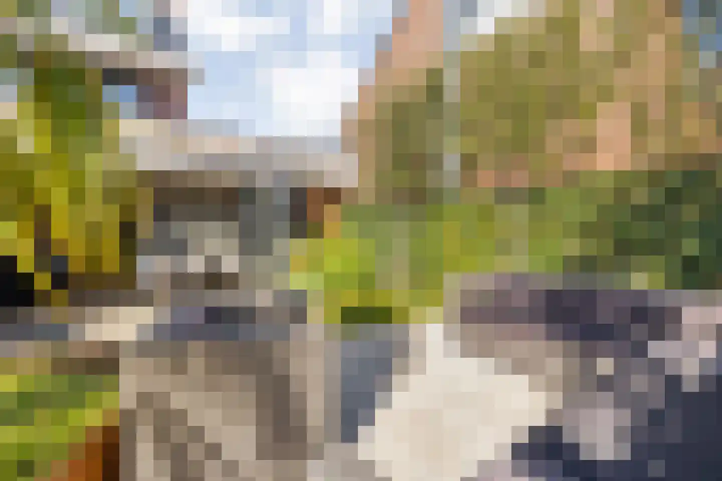 Gravin Gertrude 25 Huizen thumbnail 36