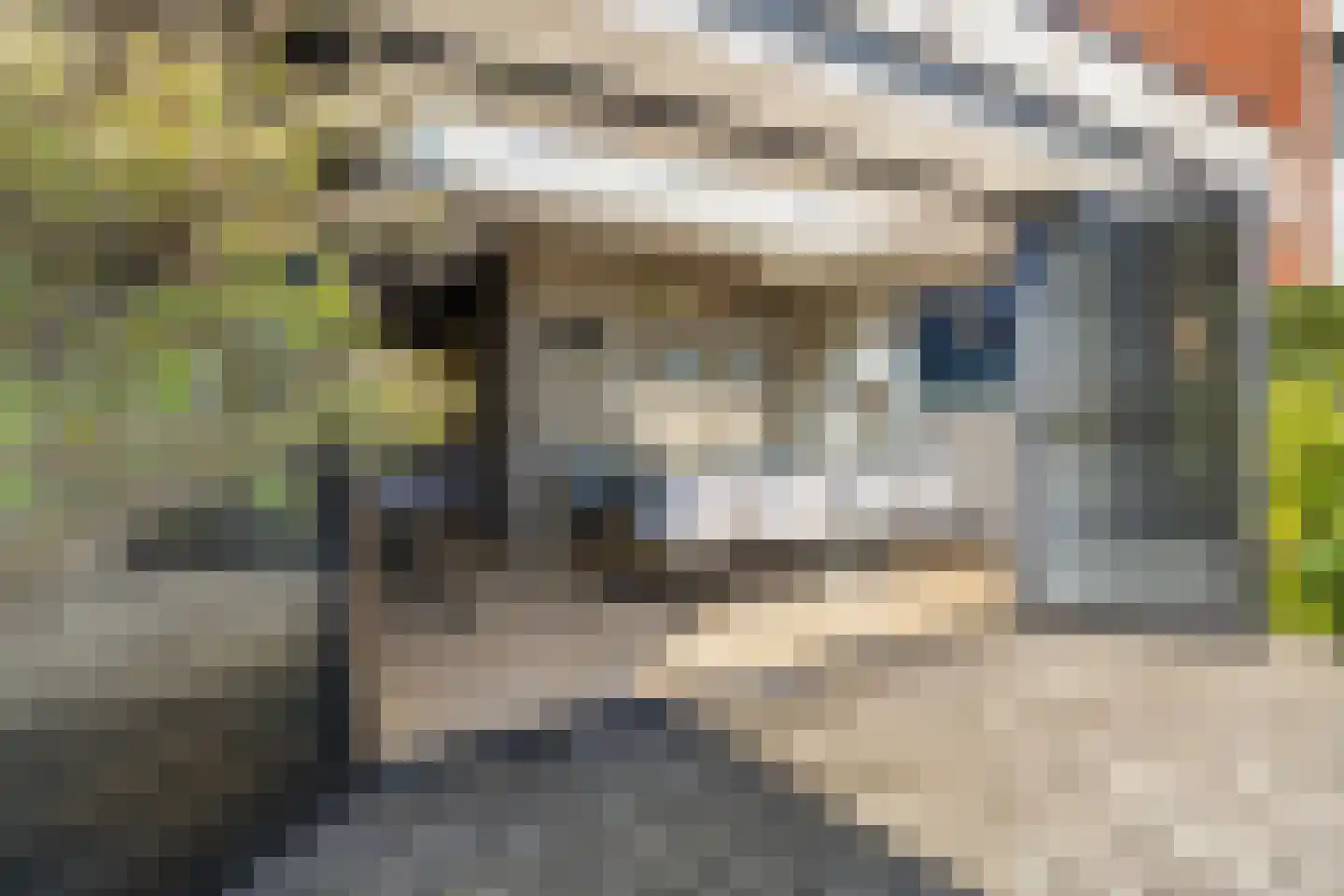 Gravin Gertrude 25 Huizen thumbnail 37