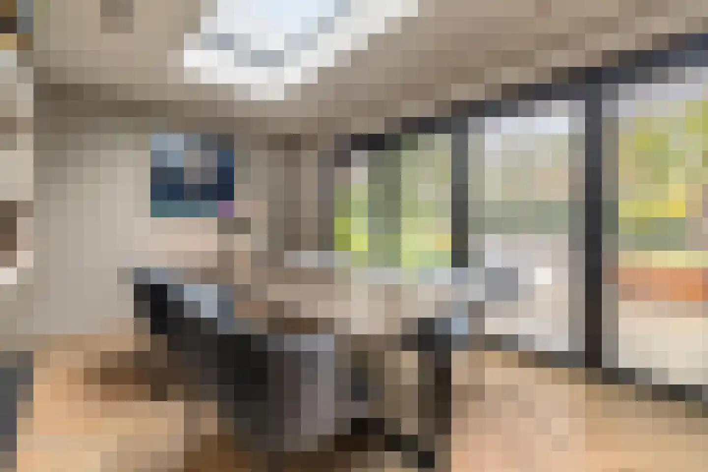 Gravin Gertrude 25 Huizen thumbnail 4