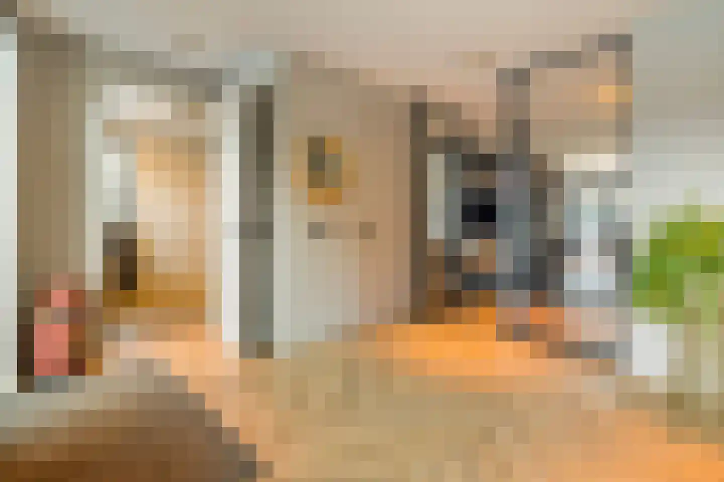 Gravin Gertrude 25 Huizen thumbnail 8