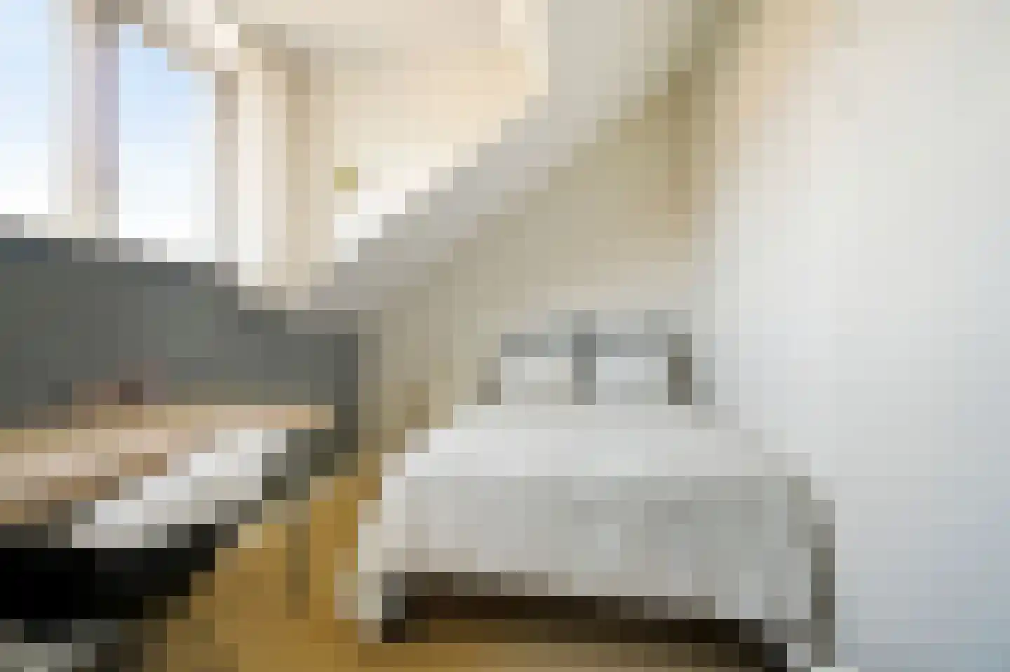 Gravin Gertrude 34 Huizen thumbnail 25