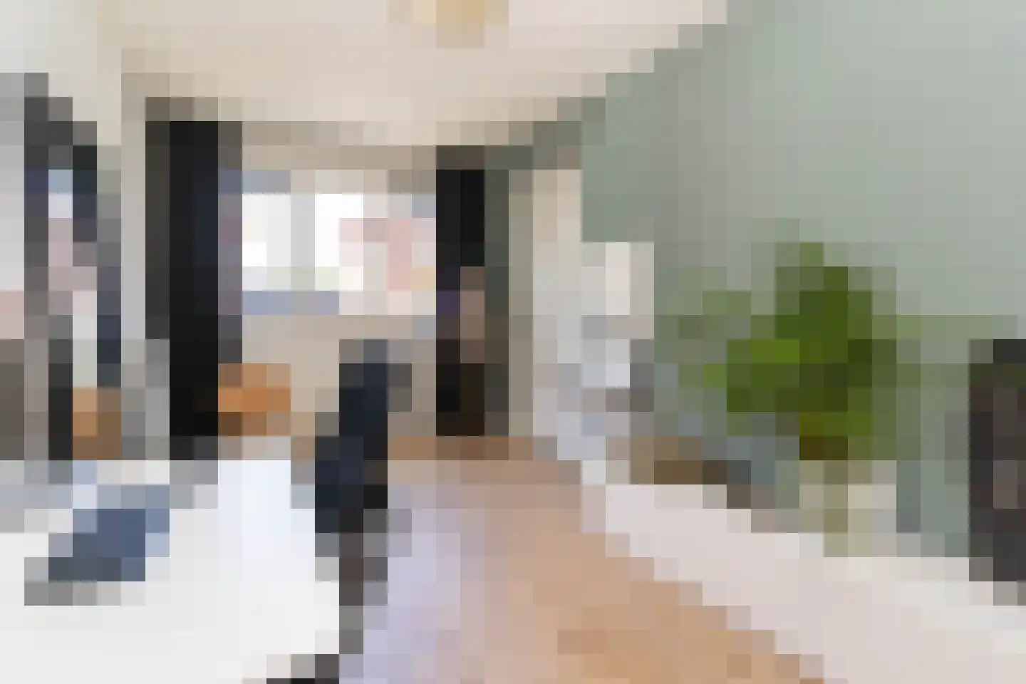 Gravin Gertrude 6 Huizen thumbnail 12