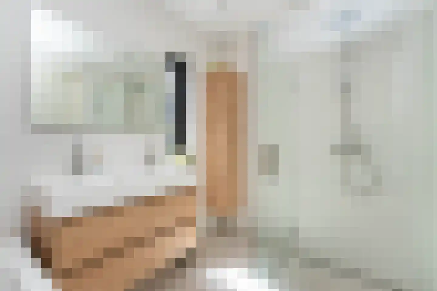 Gravin Gertrude 6 Huizen thumbnail 19